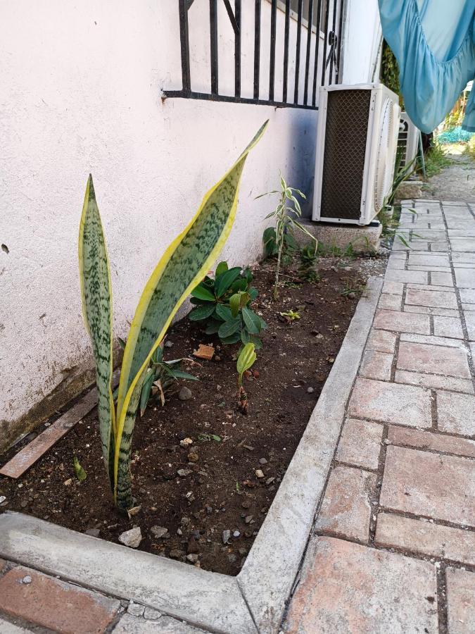 Hostal A 10 Min Del Centro De Veracruz Exterior photo